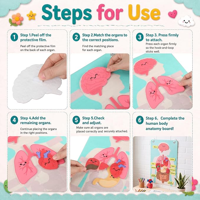 Back to School Gift Human Body Anatomy Felt Board Set, 15.55 x 9.84 in Student Cartoon Detachable Organ Model with 19 Felt Pieces, Wall Hanging Educational Teaching Aid - Image 3