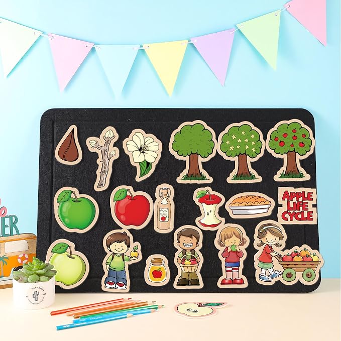19 Pcs Apple Life Cycle Felt Board Story Sets Apple Life Cycle Felt Board Pieces for Preschool Classroom Kindergarten Teaching Kits - Image 7