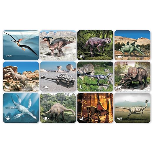Dinosaur Picture Cards & X-Rays – 24-Piece STEM Paleontology Learning Set for Science, Anatomy & Early Childhood Education - Image 3