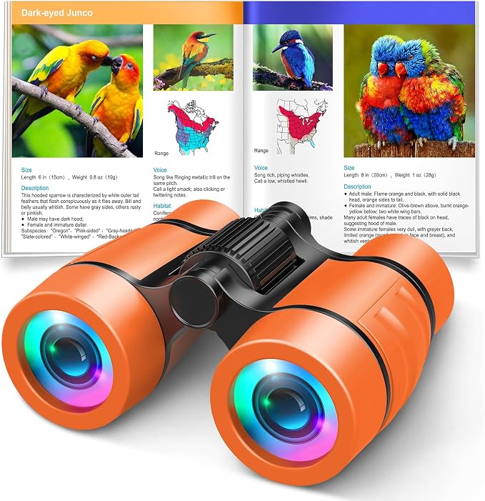 3-8 Year Old Boy Girl Toys: LET'S GO! Shockproof Binoculars for Kids Bird Watching 3 4 5 6 7 Year Old Boys Girls Outdoor Travel Toy for Kid Ages 4-7 Toddler Toy Binoculars Christmas Stocking Stuffers by LETSGO