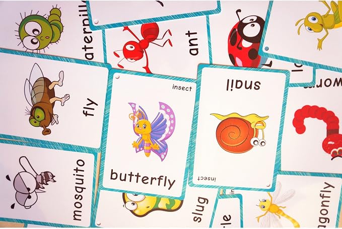 SANTSUN 14 Insects and Bugs Flashcards for Kindergarten Classroom Decoration Background Wall Stickers Teach Flash Card & Daycare Decorations Learning Cards - Image 7