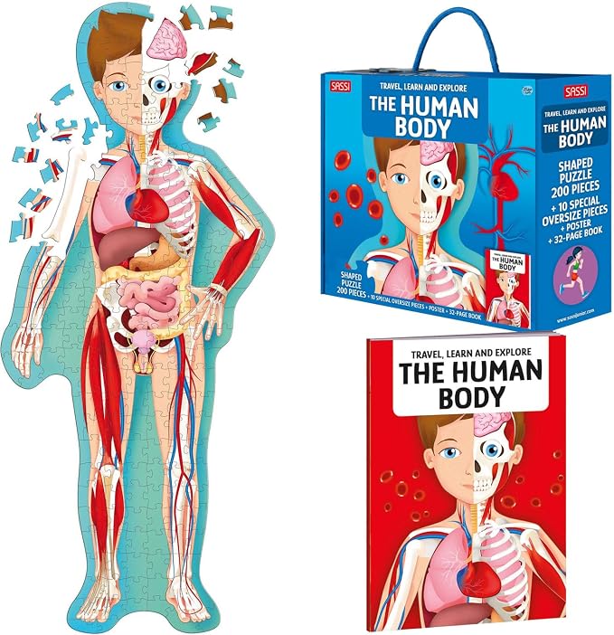 Sassi: Travel, Learn & Explore - The Human Body - 200pc Shaped Puzzle & 32-Page Book, Educational Set, Facts About Bodily Systems, (N.E. 2024) Kids 6+ - Image 7