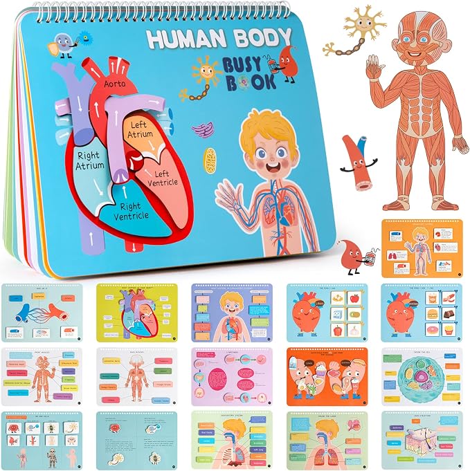 Freebear Montessori Busy Book for Kids, Human Body Anatomy Book for Toddlers, Preshool Kindergarten Learning Activities, Autism Sensory Toys, Gifts for Girls and Boys 4 5 6 7 Years - Human Body System by FreeBear