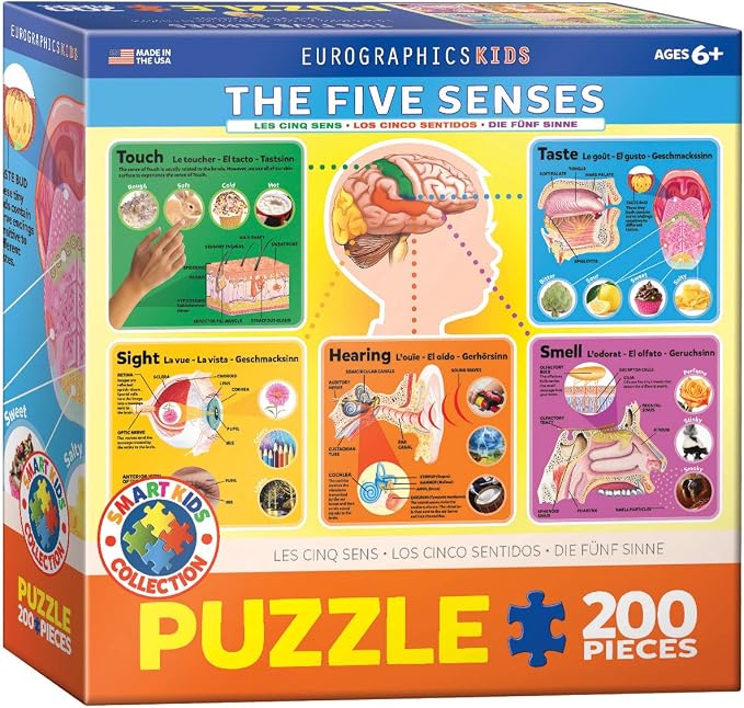 EuroGraphics Five Senses Jigsaw Puzzle (200-Piece) by EuroGraphics