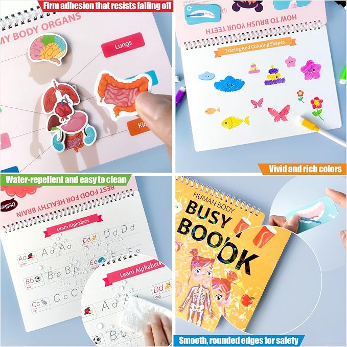 Human Body Anatomy Educational Workbook – Early Learning Materials, 1 Pcs (Orange) - Image 3