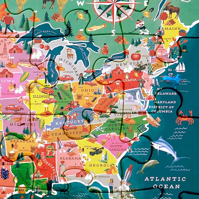 eeBoo USA Map 20 Giant Piece Children's Puzzle, 15" x 11" - Image 6