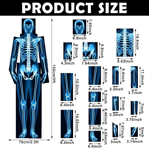 Lineshading 16 Pieces Human x Rays Bones Pretend x Rays for Kids Human Bones Body Educational Science Kit Display Play Table(Blue) - Image 2