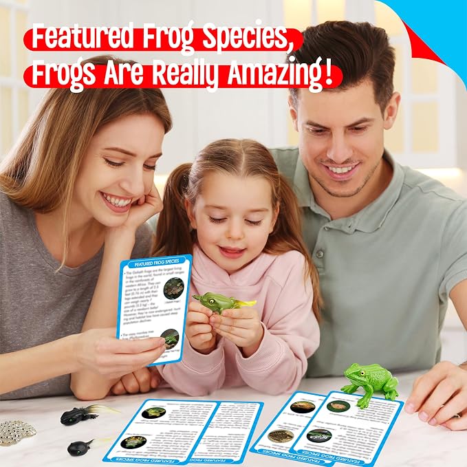 15 Frog Life Circle Flashcards with 5 Plastic Figurines, Frogs Introduction Cards Plastic Insects Tadpole to Frog Kit Toy for Kids, Adults, Animal Lovers - Image 5