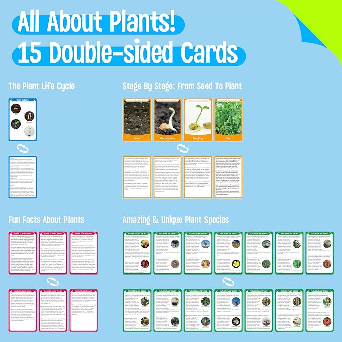 15 Plant Life Circle Flashcards with 4 Plastic Figurines-Seed to Plant, Plants Introduction Card Plants Growth Details for Nature Lovers & Adults, Montessori Toy for Kids - Image 2
