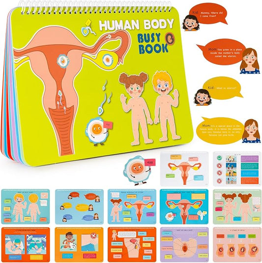 Freebear Montessori Busy Book for Kids, Human Body Anatomy Book for Toddlers, Preshool Kindergarten Learning Activities, Autism Sensory Toys, Gifts for Girls and Boys 4-7 Years- Human Body Procreation by FreeBear