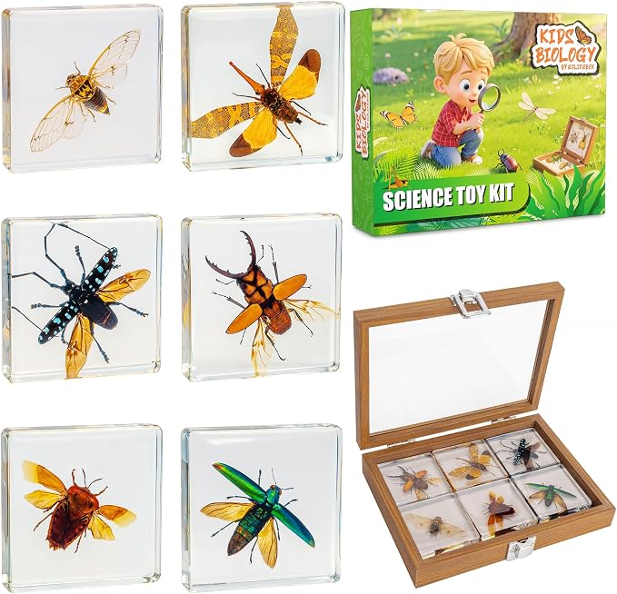 Insect Specimen Set, Bugs Collection Scientific Education Gift for Kids Aged 3-8-12 (Flatheaded Borer, Stag Beetle, Lanternfly, Longhorned Beetle, Cicada, Stink Bug) by EJLIFEBOX