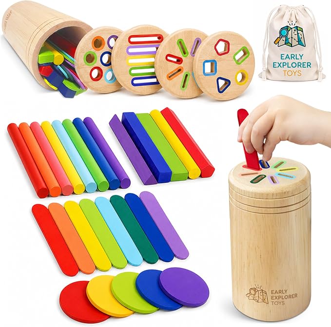 Toddler Montessori Toys, Wooden Color Sorting, Fine Motor Toys for Toddlers by EarlyExplorerToys