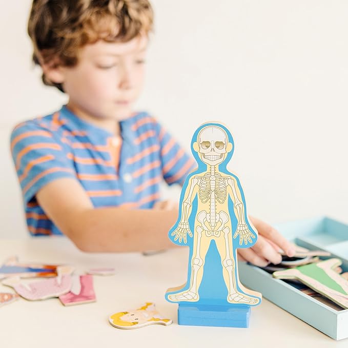 Melissa & Doug Magnetic Human Body Anatomy Play Set with 24 Magnetic Pieces and Storage Tray - Image 2
