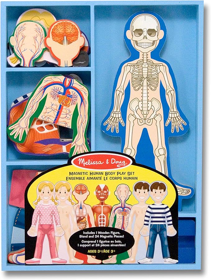 Melissa & Doug Magnetic Human Body Anatomy Play Set with 24 Magnetic Pieces and Storage Tray - Image 7