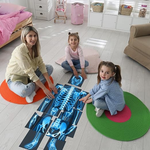 Lineshading 16 Pieces Human x Rays Bones Pretend x Rays for Kids Human Bones Body Educational Science Kit Display Play Table(Blue) - Image 5