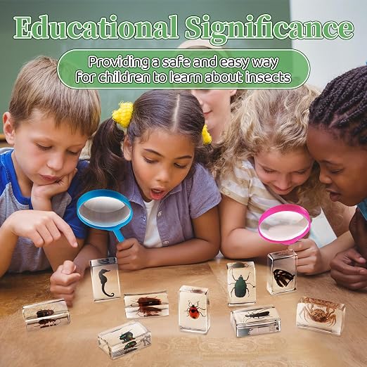 GlikCeil 50 Pcs Insect in Resin Specimen Various Bugs Collection Paperweights Bug Kit Preserved in Resin with 3 Magnifier Marine Animal Specimens for Kids Scientific Educational Display Collection - Image 5