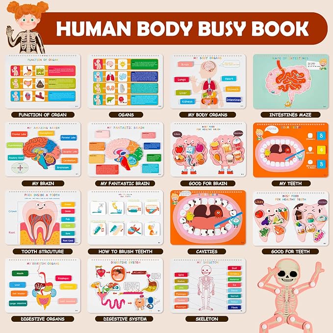 Freebear Montessori Busy Book for Kids, Human Body Anatomy Book for Toddlers, Preshool Kindergarten Learning Activities, Autism Sensory Toys, Travel Toys, Gifts for Girls and Boys 4 5 6 7 8 Years - Image 2