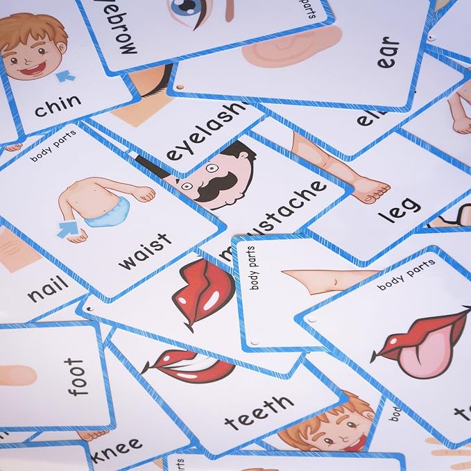 SANTSUN 36 Pieces of My Body Parts Flash Cards for Toddlers- The Flash HolePunched- So You can sort and Organize The Cards Easily and Early Learning Kindergarten Teacher Tools - Image 8