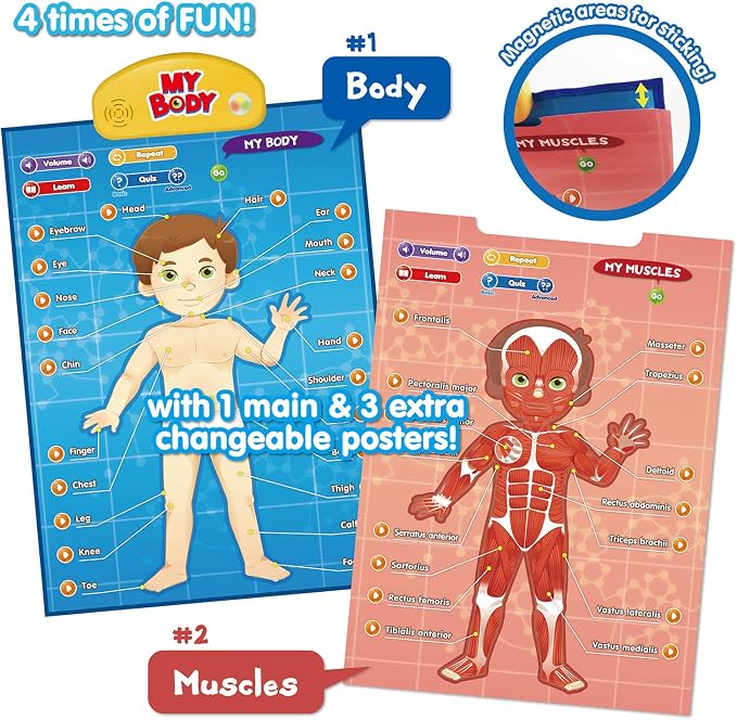 BEST LEARNING i-Poster My Body - Interactive Talking Human Anatomy Toy - Image 5