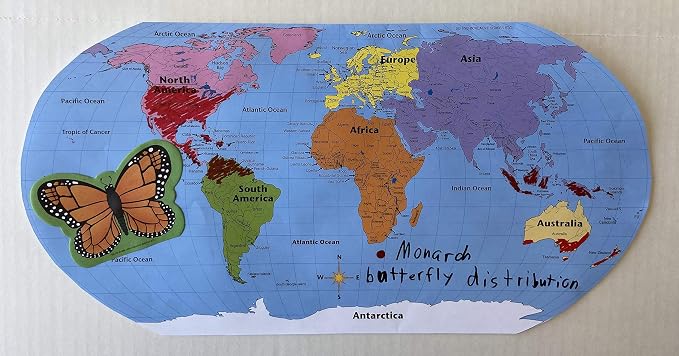 SHAPES ETC. 8" x 16" World Practice Maps Pad, Labeled, Blue, 30 Sheets - Image 9