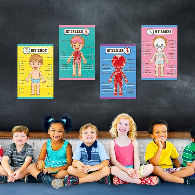 Human Body Educational Learning Posters Body Parts Wall Chart for Kids - Image 7