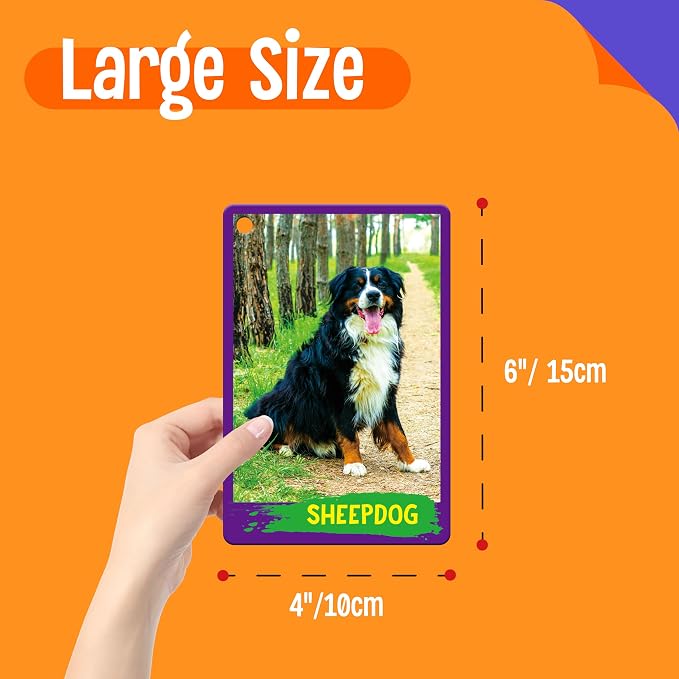 My First 120 Animals, 60PCS Realistic Zoo Animal Cards Farm/Wild/Marine Animals/Insects/Birds Flashcards Montessori & Science Educational Toys Preschool Learning for Homeschool Preschool Toddler Kids - Image 2
