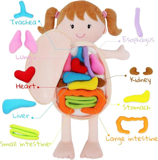 June Garden 18" Little Patient Emily Plush Anatomy Doll - Soft Educational Toy with Removable Human Organs - Learn Basic Anatomy for Toddlers and Kids - Image 2