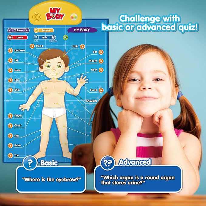 BEST LEARNING i-Poster My Body - Interactive Talking Human Anatomy Toy - Image 4