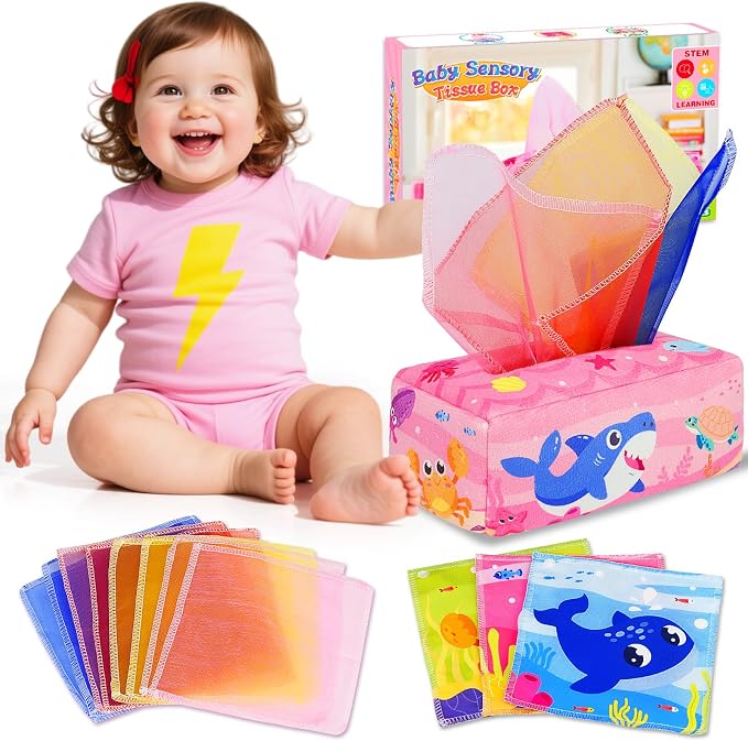 Baby Tissue Box Toys: Montessori Toys for Babies 6-12 Months by Aiduy