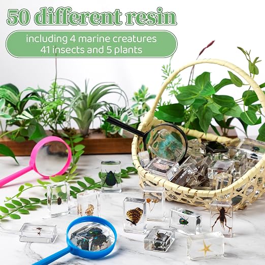 GlikCeil 50 Pcs Insect in Resin Specimen Various Bugs Collection Paperweights Bug Kit Preserved in Resin with 3 Magnifier Marine Animal Specimens for Kids Scientific Educational Display Collection - Image 4