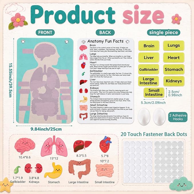 Back to School Gift Human Body Anatomy Felt Board Set, 15.55 x 9.84 in Student Cartoon Detachable Organ Model with 19 Felt Pieces, Wall Hanging Educational Teaching Aid - Image 2