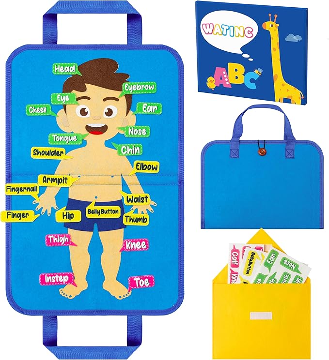 WATINC Body Parts Learning Portable Felt Story Board Set, 32PCS Preschool Human Organ Educational Teaching Storytelling Travel Board, Early Interactive Play Kit Gift for Toddler Kid (White) by WATINC