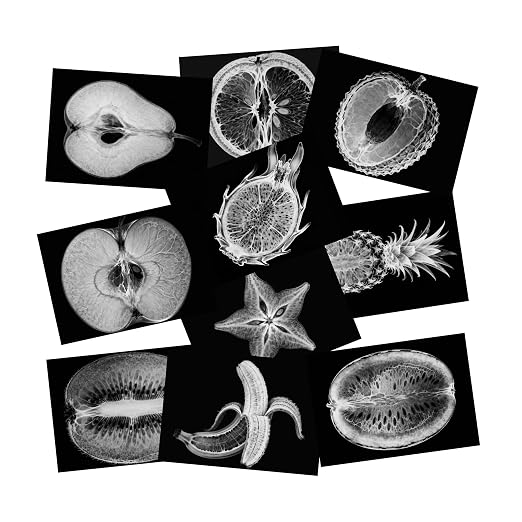 Vegetable, Fruit and Plant X-Rays, Set of 10, Simulation Specimen, Science Experiment Material for Kindergarten, Light Table, Montessori & Reggio-Inspired (Fruit) by SZREGGIO