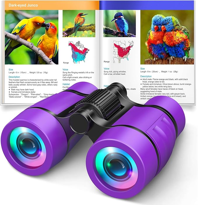 Girls Toys Age 3-7: LET'S GO! Compact Bird Watching Binoculars for Kids Ages 3 4 5 6 7 Year Old Girl Boy Gifts Idea Outside Travel Educational Toy for Kid Preschool Toddler Stocking Stuffers by LETSGO