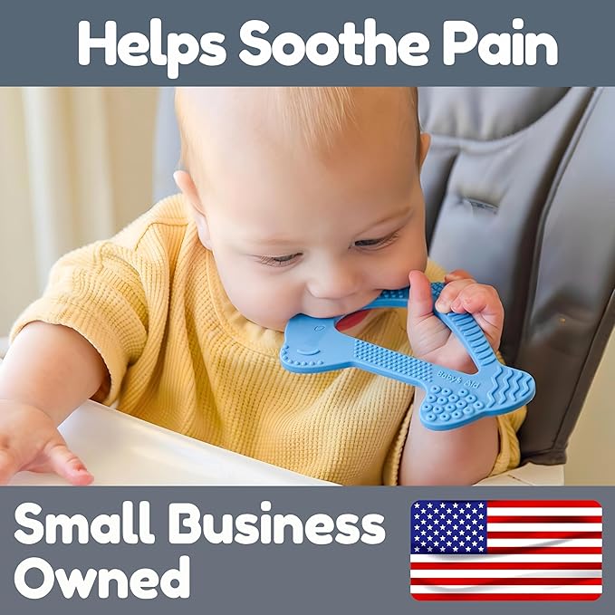 Dolphin Silicone Teether Toy with 8 Texture Zones, Easy Grip for Little Hands, Ages 3M+, Baby’s Aid (Blueberry)