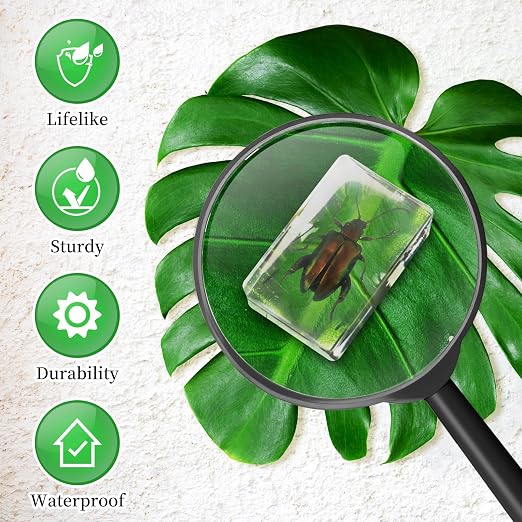 GlikCeil 50 Pcs Insect in Resin Specimen Various Bugs Collection Paperweights Bug Kit Preserved in Resin with 3 Magnifier Marine Animal Specimens for Kids Scientific Educational Display Collection - Image 6