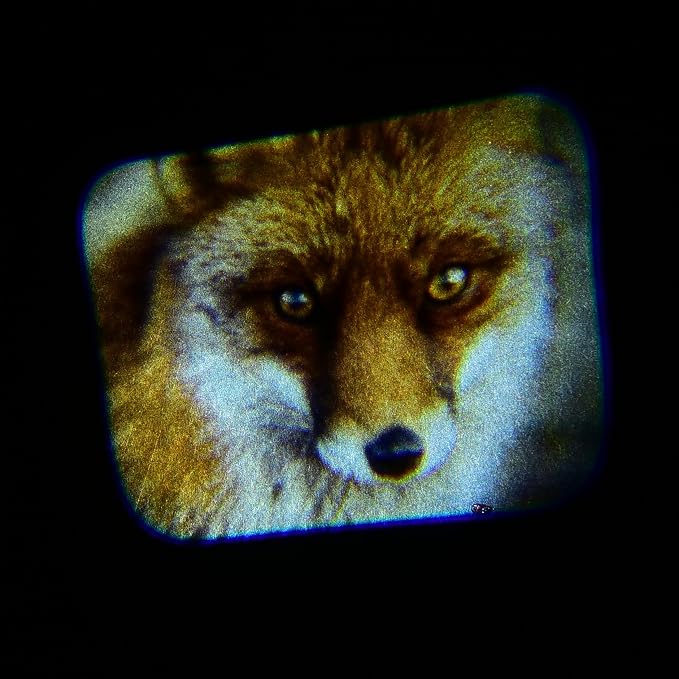 Animal Photo Projector for Kids – Handheld Animal Viewer with Real-Life Wildlife Images – Easy-to-Use Educational Toy – Ages 3+ - Image 2