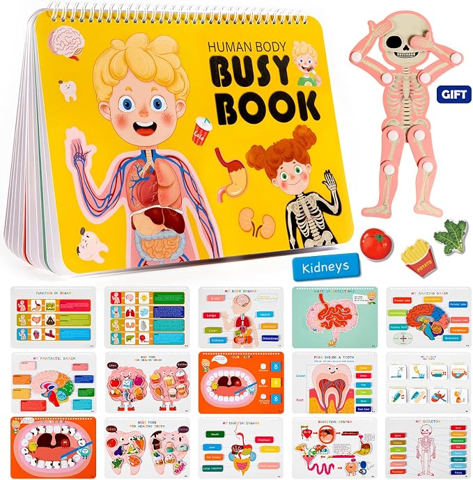 Freebear Montessori Busy Book for Kids, Human Body Anatomy Book for Toddlers, Preshool Kindergarten Learning Activities, Autism Sensory Toys, Travel Toys, Gifts for Girls and Boys 4 5 6 7 8 Years by FreeBear