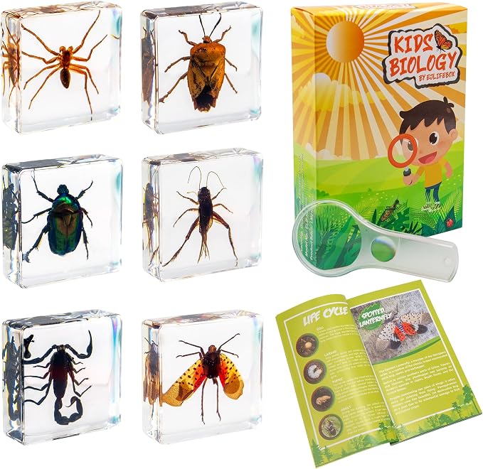 Insect Specimen Set, Bugs Collection Scientific Education Gift for Kids Aged 3-8-12 (Spider, Scorpion, Cricket, Chafers, Stink Bug, Spotted Lanternfly Resin Collection) by EJLIFEBOX