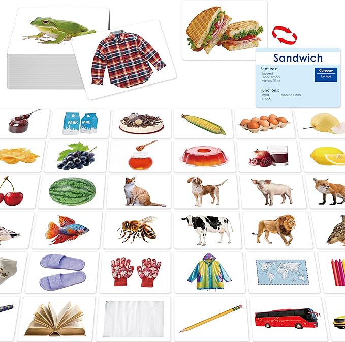 140 Noun Picture-Word Cards, Picture Flashcards Language Builder Visual Aid Speech Development Tool for Autism, ESL Teaching Materials for Adults, Non-Verbal Children Vocabulary Builder for Toddlers by SpriteGru