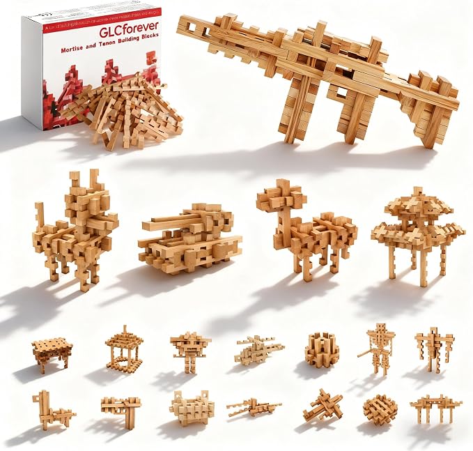 STEM Wooden Building Blocks - 20+ Shapes, 3D Puzzle, Brain Games, Educational Toys Gift for Kids and Classroom,Montessori STEM Toys for Ages 5+ and Adults (20 in 1 Premium Version) by Unknown