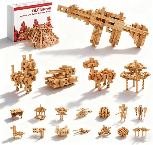 STEM Wooden Building Blocks - 20+ Shapes, 3D Puzzle, Brain Games, Educational Toys Gift for Kids and Classroom,Montessori STEM Toys for Ages 5+ and Adults (20 in 1 Premium Version) by Unknown