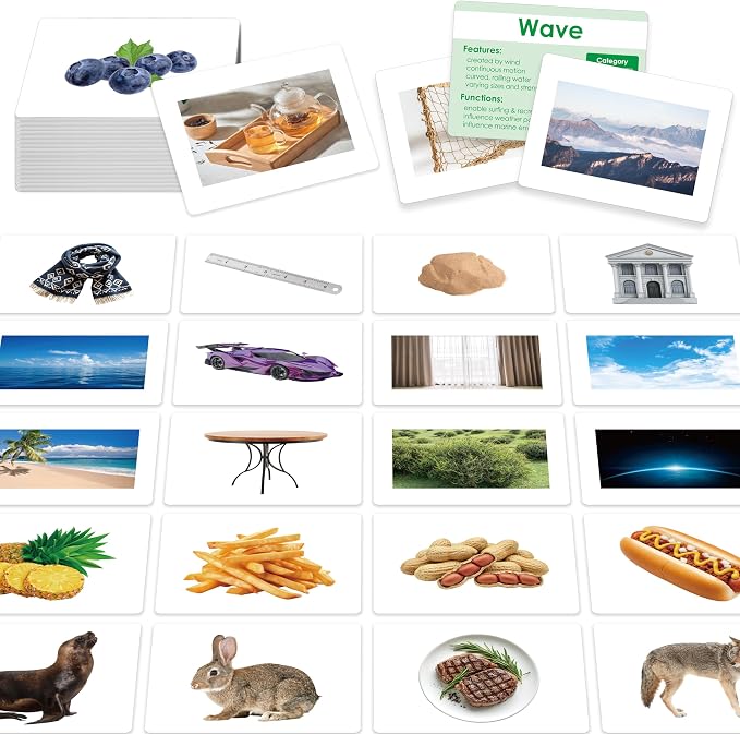 140 Noun Picture-Word Cards, Picture Flashcards Language Builder Visual Aid Speech Development Tool for Autism, ESL Teaching Material Non-Verbal Vocabulary Builder for Children, Kids, Adults (Level 2) by SpriteGru