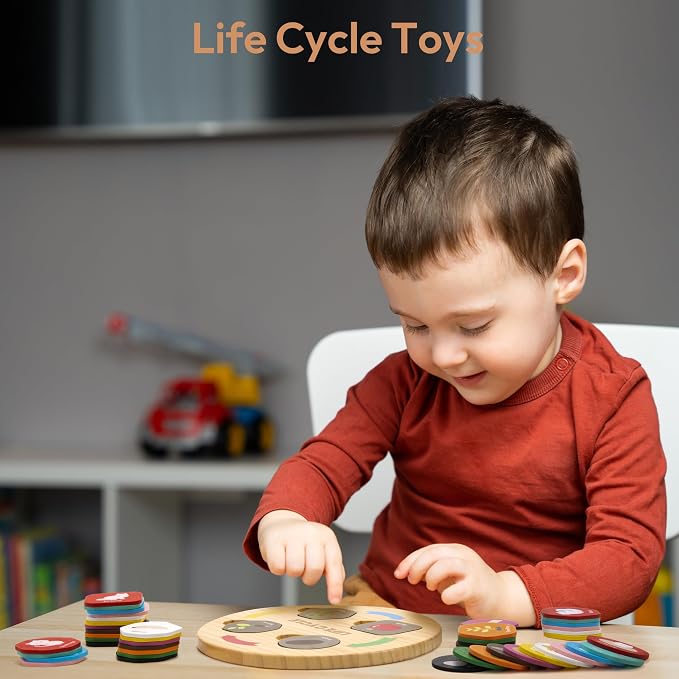Woodtoe Life Cycle Toys, 12 Themes Montessori Science Toys for Kid Ages 3-6 - Image 2
