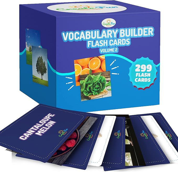 CreateFun 300 Vocabulary Builder Flash Cards V2 Speech Therapy,Autism,ESL by CreateFun