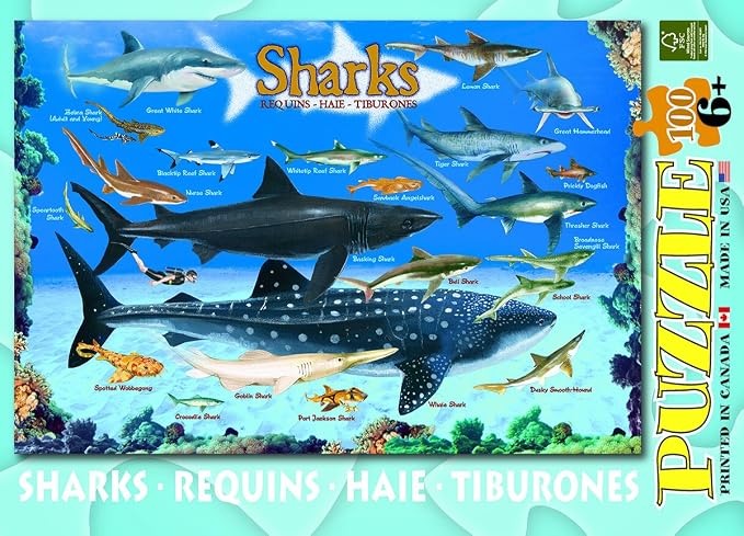 Sharks 100 Piece Jigsaw Puzzle - Image 4