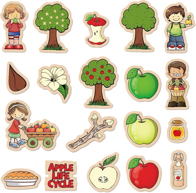 19 Pcs Apple Life Cycle Felt Board Story Sets Apple Life Cycle Felt Board Pieces for Preschool Classroom Kindergarten Teaching Kits by VercanMonth