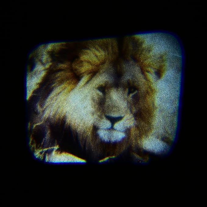 Animal Photo Projector for Kids – Handheld Animal Viewer with Real-Life Wildlife Images – Easy-to-Use Educational Toy – Ages 3+ - Image 5