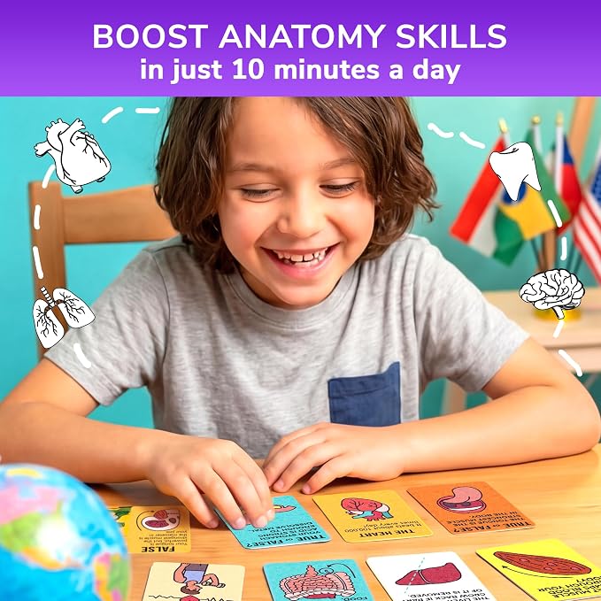 Quokka Trivia Games for Kids - Human Body Facts and Anatomy - Fun Card Game - Image 5