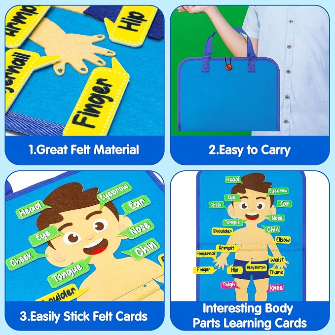 WATINC Body Parts Learning Portable Felt Story Board Set, 32PCS Preschool Human Organ Educational Teaching Storytelling Travel Board, Early Interactive Play Kit Gift for Toddler Kid (White) - Image 3